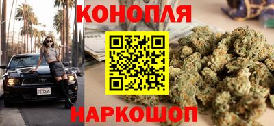 mdpv Севастополь