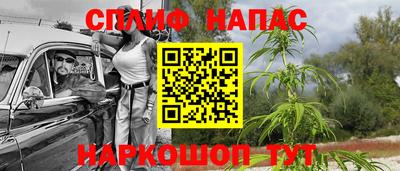 mdpv Севастополь