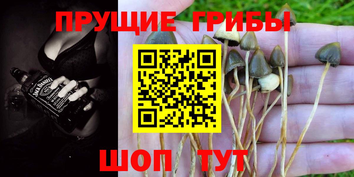 Галлюциногенные грибы GOLDEN TEACHER Осинники