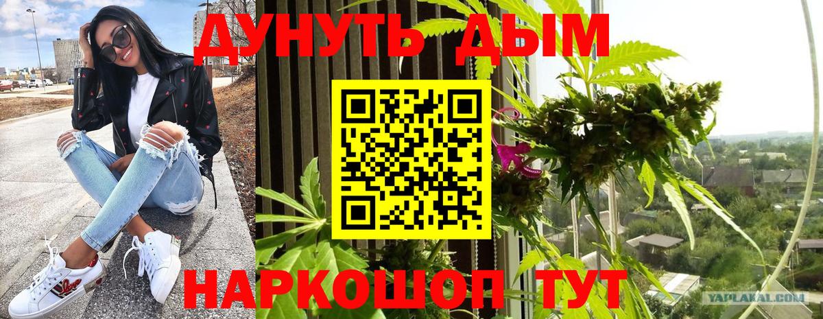 Осинники  Конопля SATIVA & INDICA  Канабис семена  Марихуана LSD WEED  Вход с VPN 